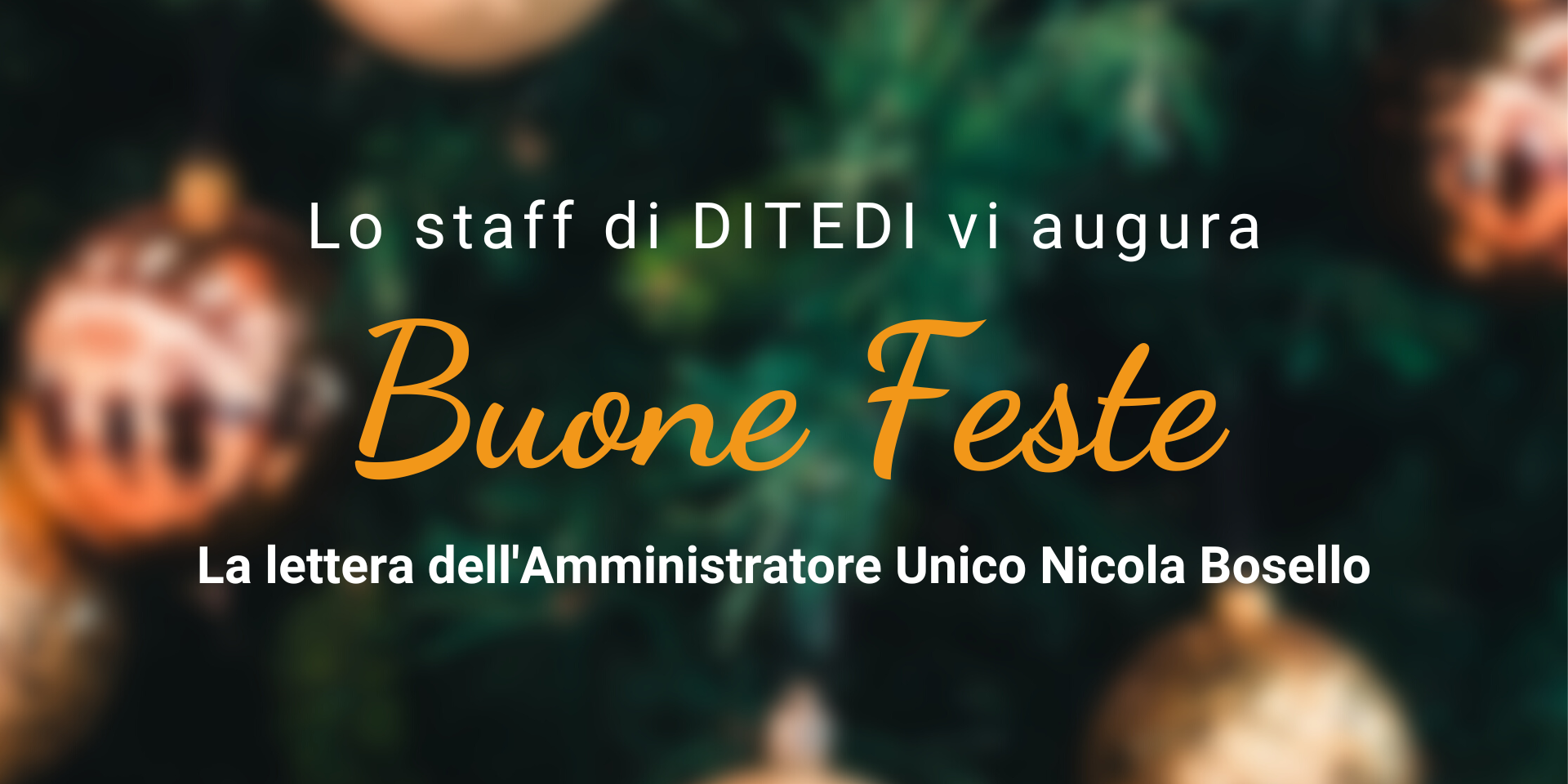 la lettera dell'amministratore unico di DITEDI Nicola Bosello per un augurio di buone feste